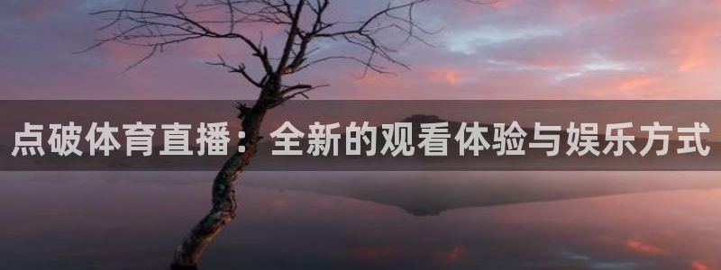 琳琅娱乐官网：点破体育直播：全新的观看体验与娱乐方式