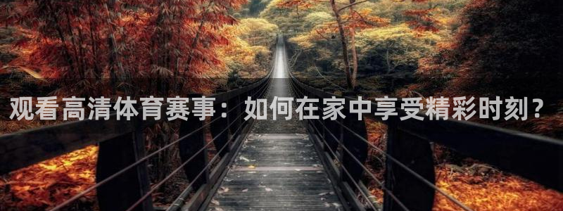 琳琅：观看高清体育赛事：如何在家中享受精彩时刻？