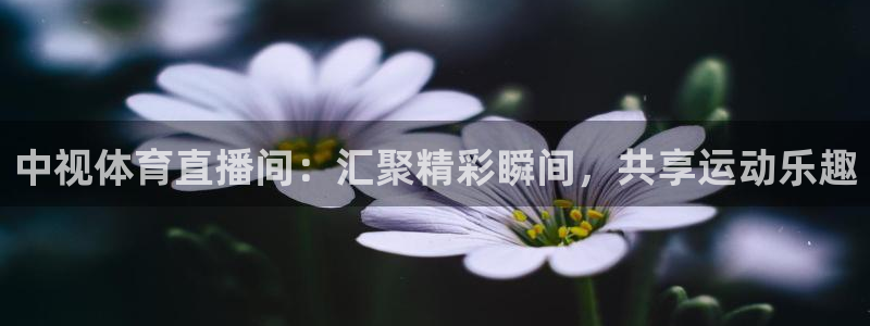 琳琅娱乐代理：中视体育直播间：汇聚精彩瞬间，共享运动乐趣