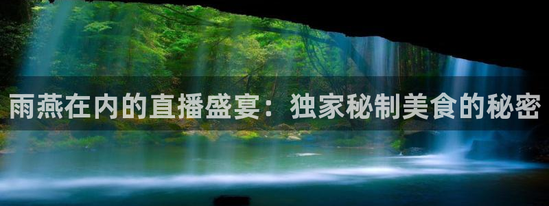 琳琅娱乐官网：雨燕在内的直播盛宴：独家秘制美食的秘密