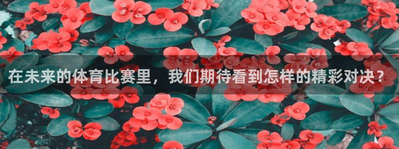 琳琅娱乐：在未来的体育比赛里，我们期待看到怎样的精彩对决？