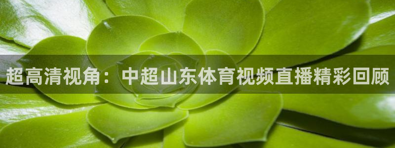 琳琅娱乐：超高清视角：中超山东体育视频直播精彩回顾