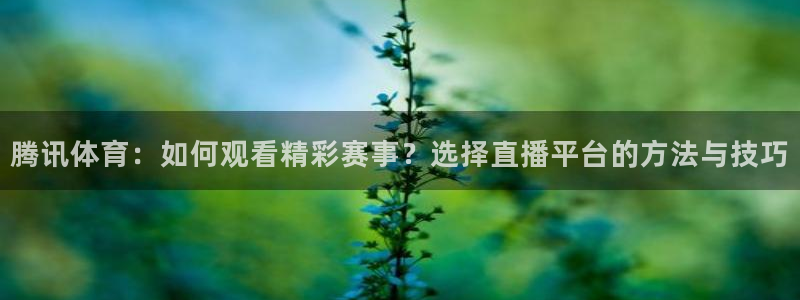 琳琅：腾讯体育：如何观看精彩赛事？选择直播平台的方法与技巧
